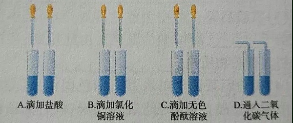 微信图片_20190422092352